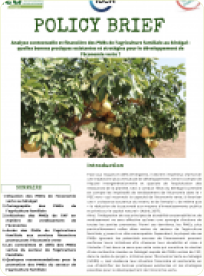 Policy Brief