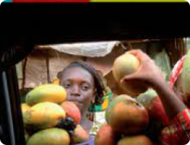 Agriculture durable à faibles apports externes (Agridape)
