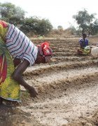 Agriculture, Eau et Résilience au Burkina Faso