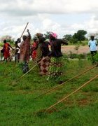 Éditorial – Agroécologie et statistiques agricoles