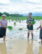 Introduction du SRI dans l’Etat du Rakhine du...
