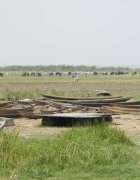 Variabilité du lac Tchad, changement climatique et mobilités...