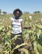 En Bref : Zimbabwe Les semences autochtones : une bonne...