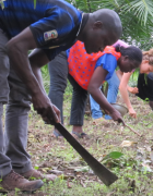 L’ agroécologie au service des ODD