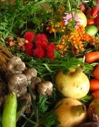 Initiative sur l’Agroécologie Ecologique Biologique
