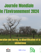 Journée Mondiale de l’Environnement 2024:la restauration des terres, la désertification et la résilience à la sécheresse