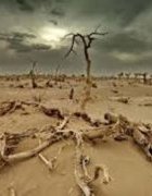 Rue 23 : Changements climatiques : 65 projets financés à hauteur de 850 millions de francs CFA à Kaffrine