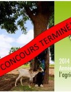 Concours de photographie : Plus de 1300 photos reçues