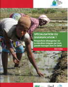 Spécialisation ou Diversifiction ? Perspectives divergentes sur la riziculture...
