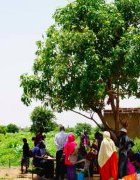 Les migrants sénégalais, des acteurs de la résilience...
