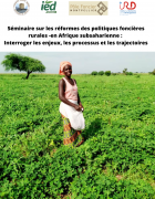 Séminaire en ligne sur les réformes des politiques foncières rurales -en Afrique subsaharienne : -interroger les enjeux, les processus et les trajectoires