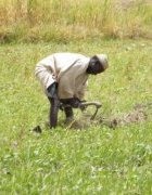 Adaptation Basée sur les Ecosystèmes