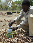 L’eau pour l’agriculture