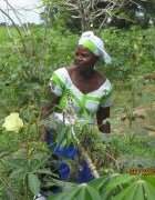 L’impact de l’agroécologie en questions