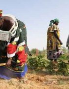 Décentraliser les fonds climat : Bamako se prépare pour la première conférence régionale sur le financement climat décentralisé au Sahel
