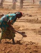 Beating famine : grâce à la RNA, le Sahel sait comment vaincre la famine