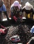Burkina Faso : promotion de la formation pour l’autonomisation...