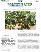 Analyse contextuelle et financière des PMEs de l’agriculture...