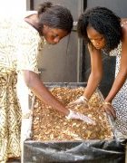 Leadership et autonomisation des femmes rurales au Sénégal :...