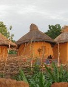 La COFERSA, une gardienne des semences paysannes