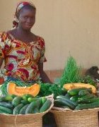 Promotion de l’agriculture biologique au Sénégal : Enda Pronat...
