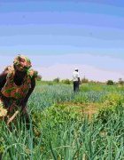IED Afrique, l’ISRA, le CIRAD et le PPZS ouvrent un cycle de séminaires sur « acteurs, savoirs et dispositifs du développement participatif au Sénégal »