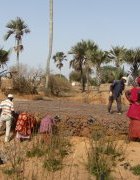 Zone des Niayes du Sénégal : l’ impact de...