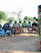 Vulgarisation et conseil agricoles